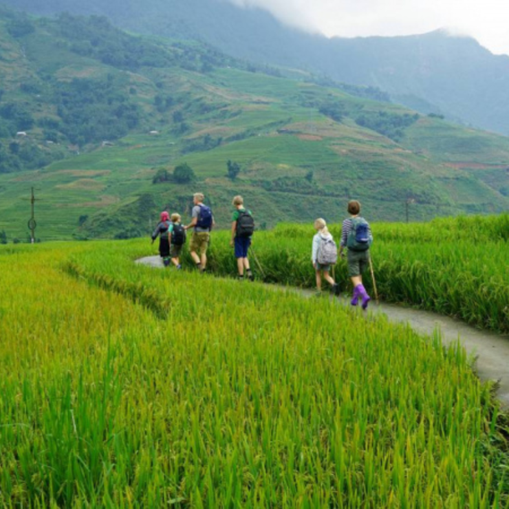 Cách để du lịch bền vững ở Việt Nam 
